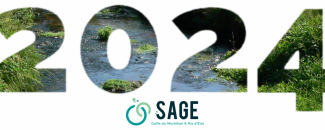 Bonne année 2024