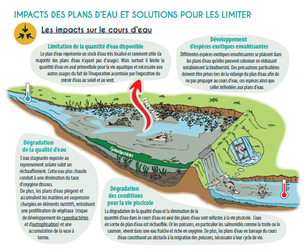 visuel_fiche_pe_schema.png